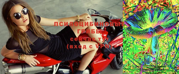 спиды Киреевск