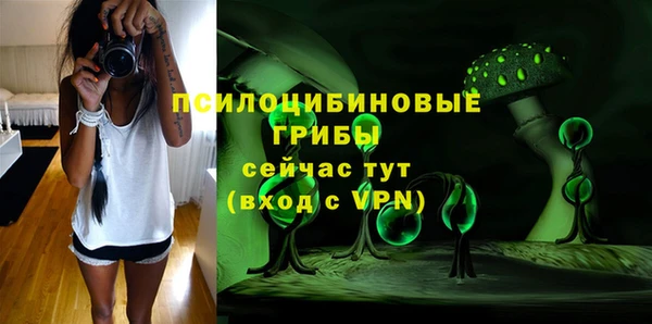 спиды Киреевск